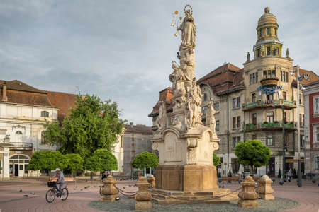 The Monument St. Mary and St. Ioan Nepomuk at Freedom square in Timisoara, Romaniaのeditorial素材