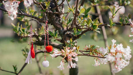 Red and white beautiful martisor hanging on the branches of the blooming tree.の写真素材