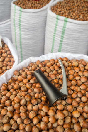 Fresh hazelnuts in shells for sale in outdoor food market.