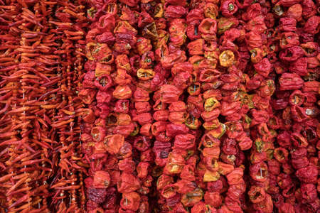 Dried bell peppers hanging on the traditional turkish food market close-up