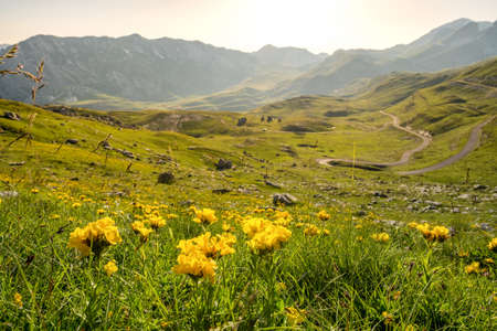 Sunset at Sedlo pass in Durmitor National park, village Zabljak, Montenegro.の写真素材
