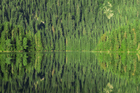 Black lake landscape at sunrise in Durmitor National park, Zabljak, Montenegroの写真素材