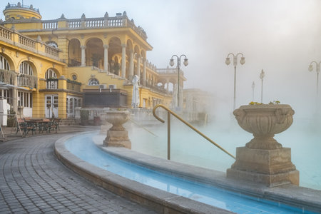 Szechenyi Baths in Budapest in winter, Hungaryの写真素材