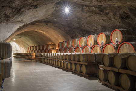 Historic wine cellars of Plantaze wine making company in Podgorica, Montenegro.
