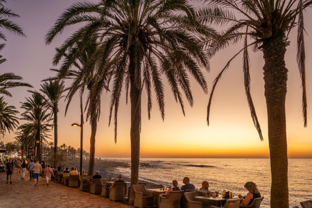 Costa Adeje town waterfront near Las Americas beach in Tenerife, Spainのeditorial素材
