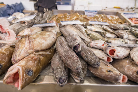 Fish and seafood section of the Olhao municipal market in Algarve, Portugal.