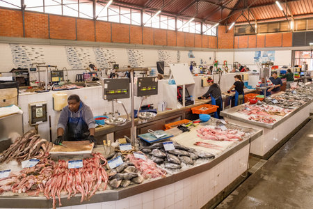 Fish and seafood section of the Olhao municipal market in Algarve, Portugal.のeditorial素材