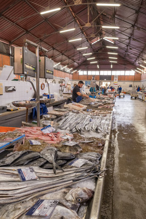 Fish and seafood section of the Olhao municipal market in Algarve, Portugal.のeditorial素材