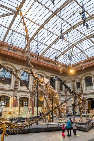 A skeleton of Tyrannosaurus at Natural history museum, Berlin, Germany.のeditorial素材