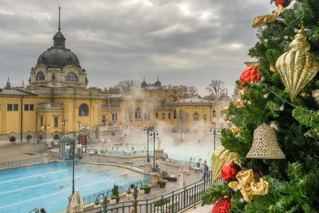 Szechenyi Thermal Baths in Budapest in winter, Hungaryのeditorial素材