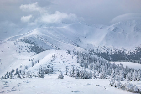Beautiful snow covered landscape in mountains during cold winter dayの写真素材