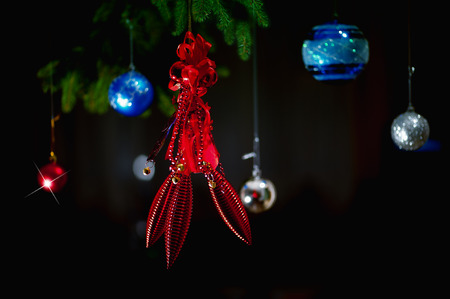 Christmas decorating with evergreen treesの写真素材