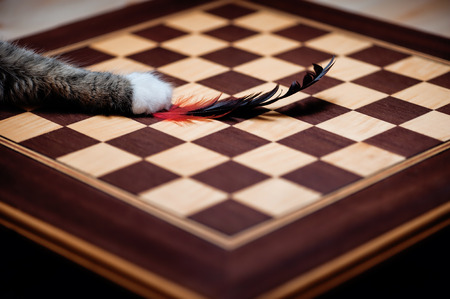 Hunter chessboardの写真素材