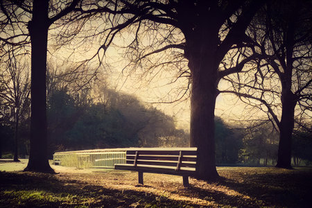 outdoor bench park. High quality photo , fog and comfort , morning light , relax , calmの写真素材
