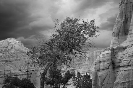 Monochrome panoramic view of New Mexico mountain range, United States.