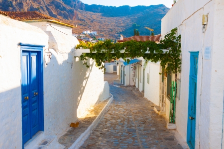 View of grapes in Hydra island Saronikos gulf Greeceのeditorial素材