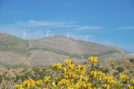 Windturbines in Syros island Greece these turbines generate electricity to support the island