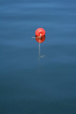 red fishing corkの写真素材