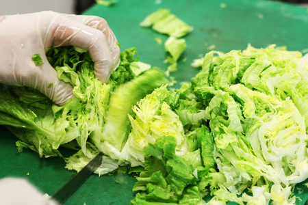 makes fresh salad ontable . greens , summer , natureの写真素材