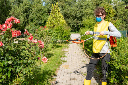 Protecting flower plants from fungal disease, gardening concept