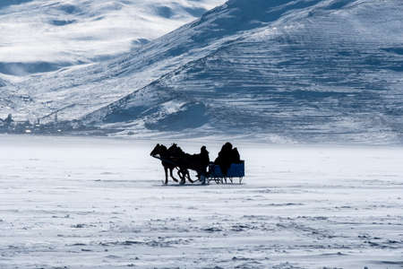 sleigh at snow covered road in winter sunny dayの写真素材