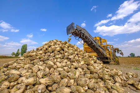 hiker is jumping between rocks at footpathのeditorial素材