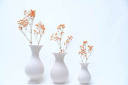 flowers in white vase on white backgroundの写真素材