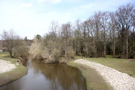 The river in wood in the light of the midday sun