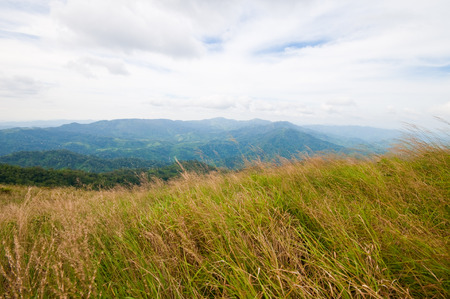 Grassland and mountains of Thailandの写真素材