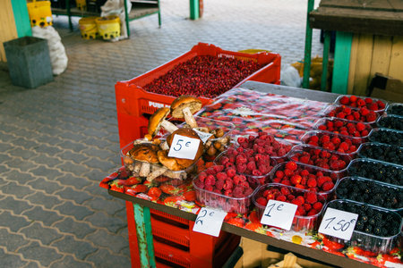 Ventspils. Market Square.
The market has long attracted the attention of scientists of ancient buildings and planning. Previously, this place was called the old city center.の写真素材
