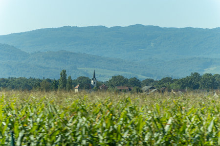 Churches of St. John Evangelist and St. Spirit. Krsko. Slovenia.