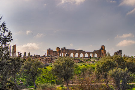 Volubilis, Morocco - touristic attraction and a Roman archaeological site located near Meknes. Volubilis, Morocco is a UNESCO World Heritage and is a well preserved town of the Roman Empire.の写真素材