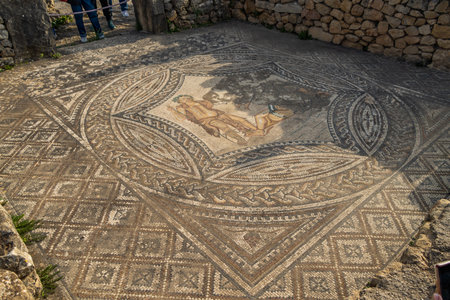 Floor mosaic in Orpheus house at archaeological Site of Volubilis, ancient Roman empire city, Unesco World Heritage Site, located in Morocco near Meknes.の写真素材