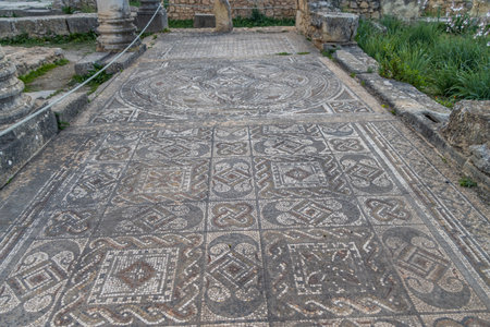 Floor mosaic in Orpheus house at archaeological Site of Volubilis, ancient Roman empire city, Unesco World Heritage Site, located in Morocco near Meknes.の写真素材