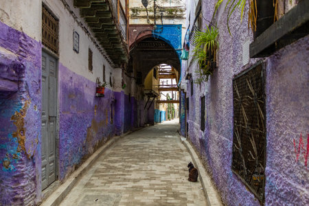 Historical tiny street with indigo blue houses in the old Medina (Jewish quarter) in Fez (capital of...