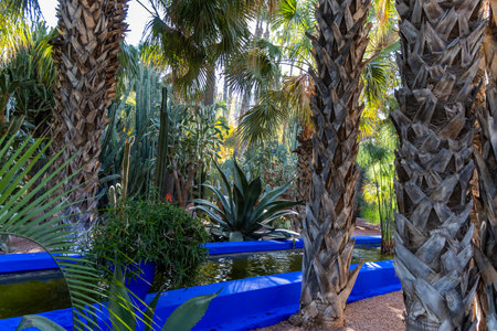 The Majorelle Garden is a botanical garden and artist's landscape garden in Marrakech, Morocco.の写真素材