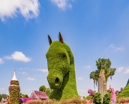 Dubai Miracle Garden is the world's largest natural flower garden, 150 million flowers of different varieties and is the top tourist, unique display and extravagant outdoor recreational destination. Dubai. UAE.の写真素材