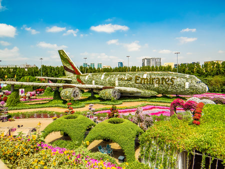 Dubai Miracle Garden is the world's largest natural flower garden, 150 million flowers of different varieties and is the top tourist, unique display and extravagant outdoor recreational destination. Dubai. UAE.の写真素材