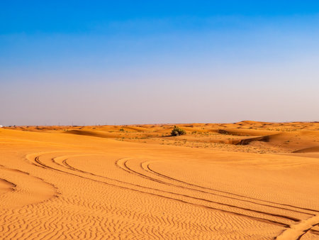 Sand dunes in the United Arab Emiratesの写真素材
