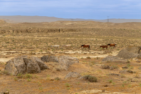Qobustan National Park in Azerbaijan is famous for its ancient rock carvings, mud volcanoes, and dramatic desert landscape.の写真素材