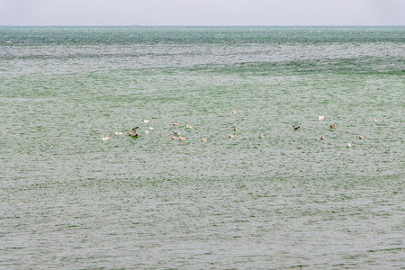 Absheron Peninsula. Azerbaijan. Coastal area on the Absheron Peninsula. Absheron Peninsula in Azerbaijan, which extends into the Caspian Sea and is home to the capital city, Baku.の写真素材