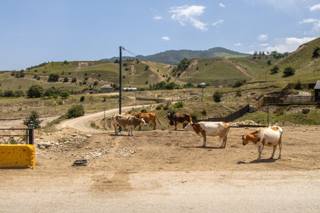 Laza Falls, Qusar, Azerbaijan. Unbelievable nature park at the feet of the Shahdag mountain.の写真素材