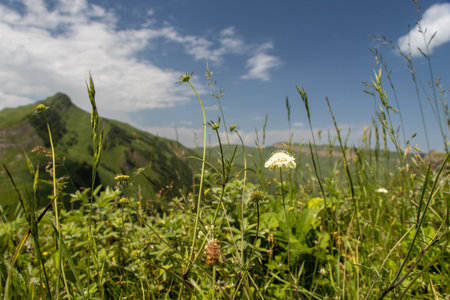 Laza Falls, Qusar, Azerbaijan. Unbelievable nature park at the feet of the mountain.の写真素材