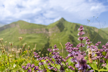 Laza Falls, Qusar, Azerbaijan. Unbelievable nature park at the feet of the Shahdag mountain.の写真素材