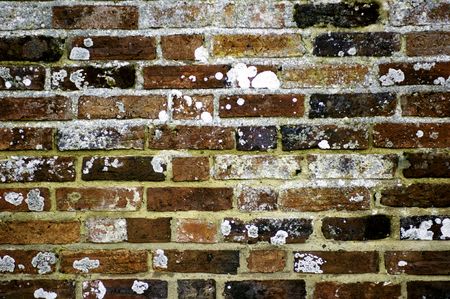 colorful brick wall with lichenの写真素材