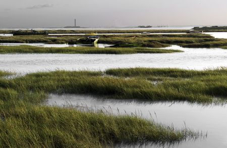 marshland at the thames estuaryの写真素材