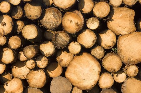 log stack