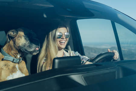 Young girl driving with her dog next to her. Concept of freedom and happinessの写真素材