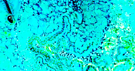 HQ Watercolor Galaxy Nebula Background