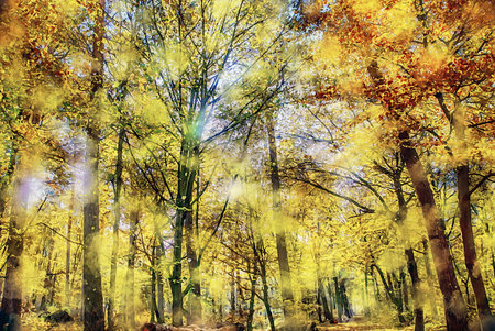 Watercolor Landscape Background Illustrationの写真素材